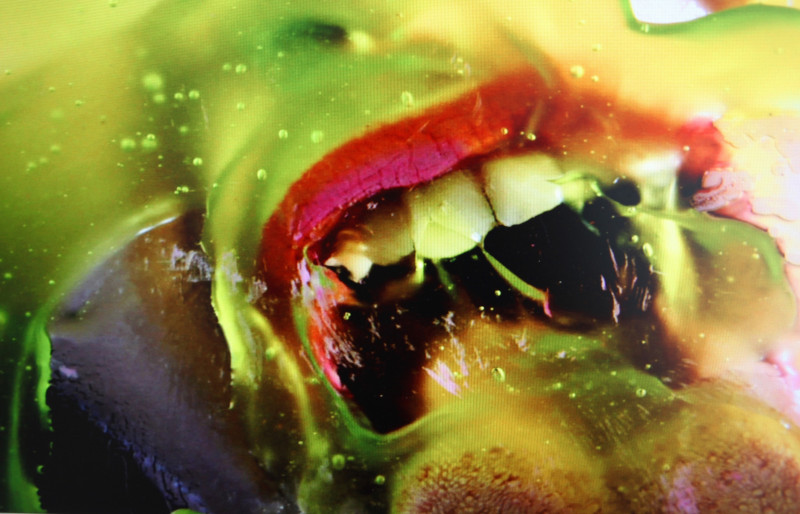 Værk af Marilyn Minter