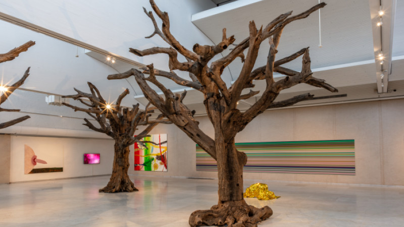 Foto af Niels Fabæk