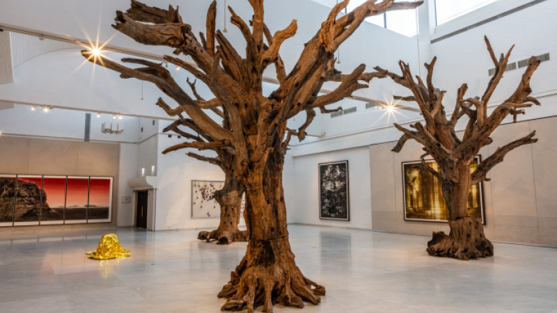 Foto af Niels Fabæk