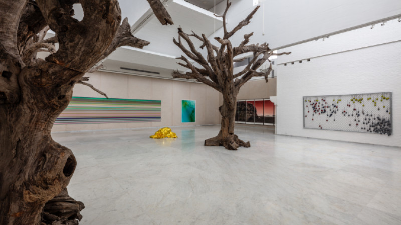 Foto af Niels Fabæk