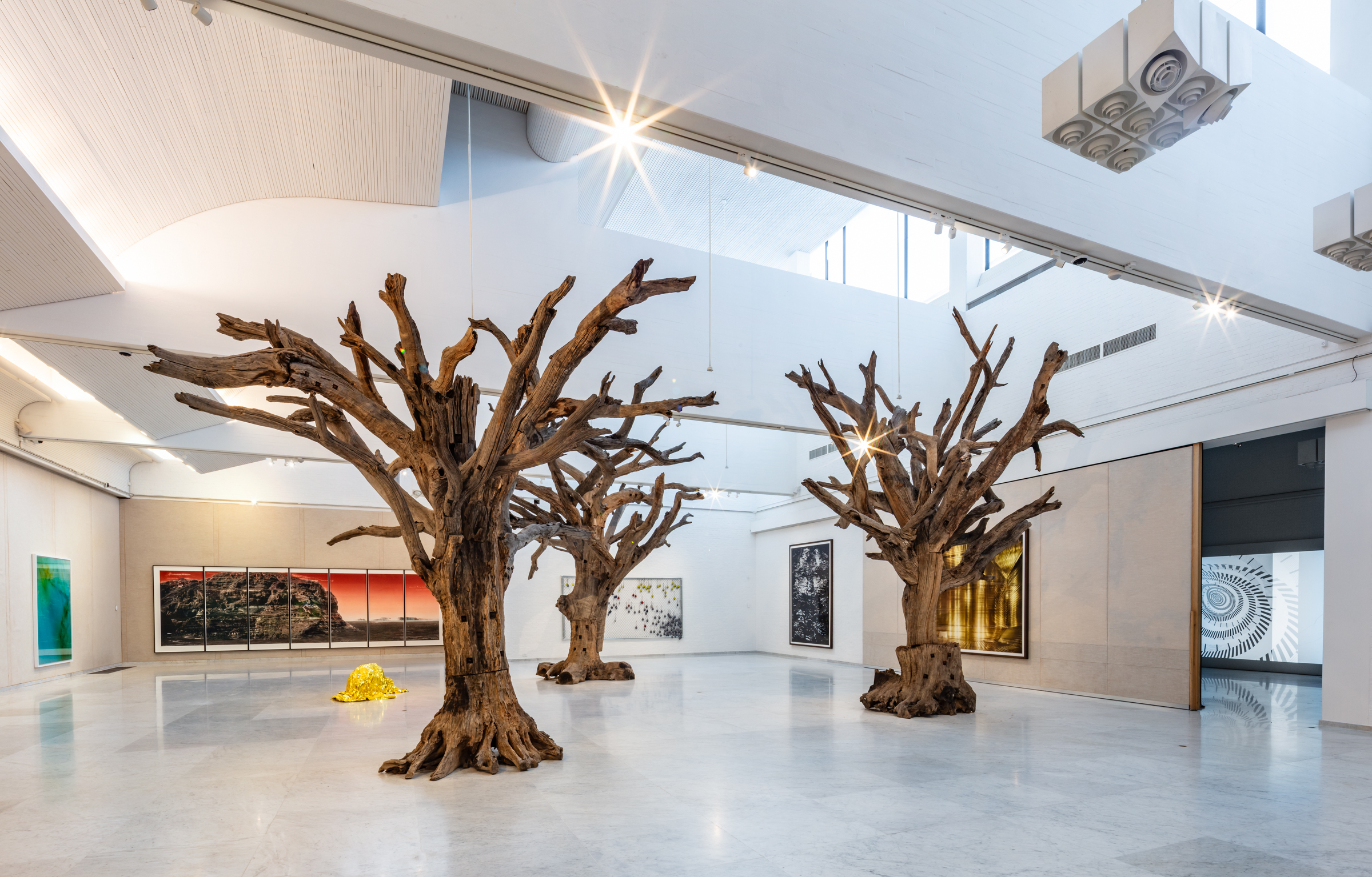 Foto af Niels Fabæk