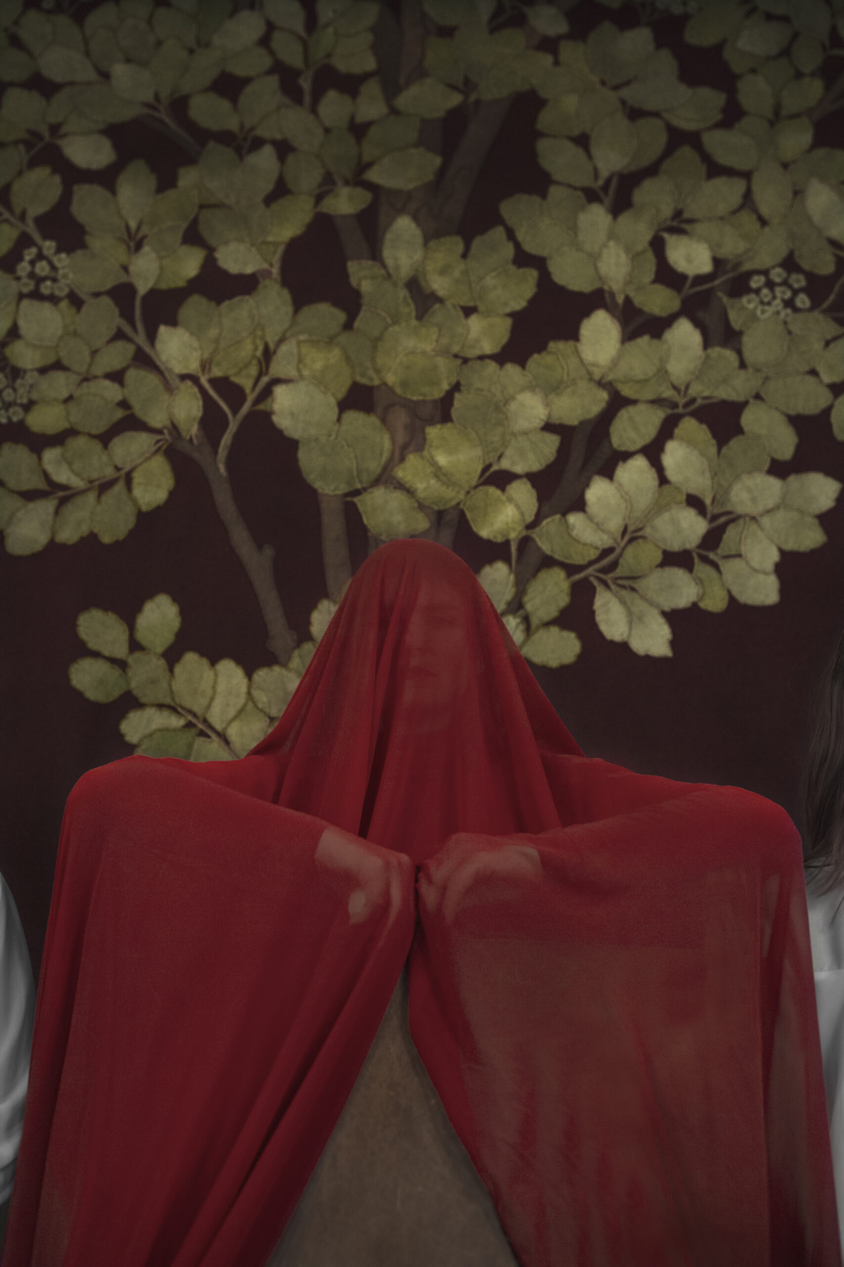 Foto fra Sisters Hope