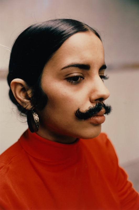 Værk af Ana Mendieta