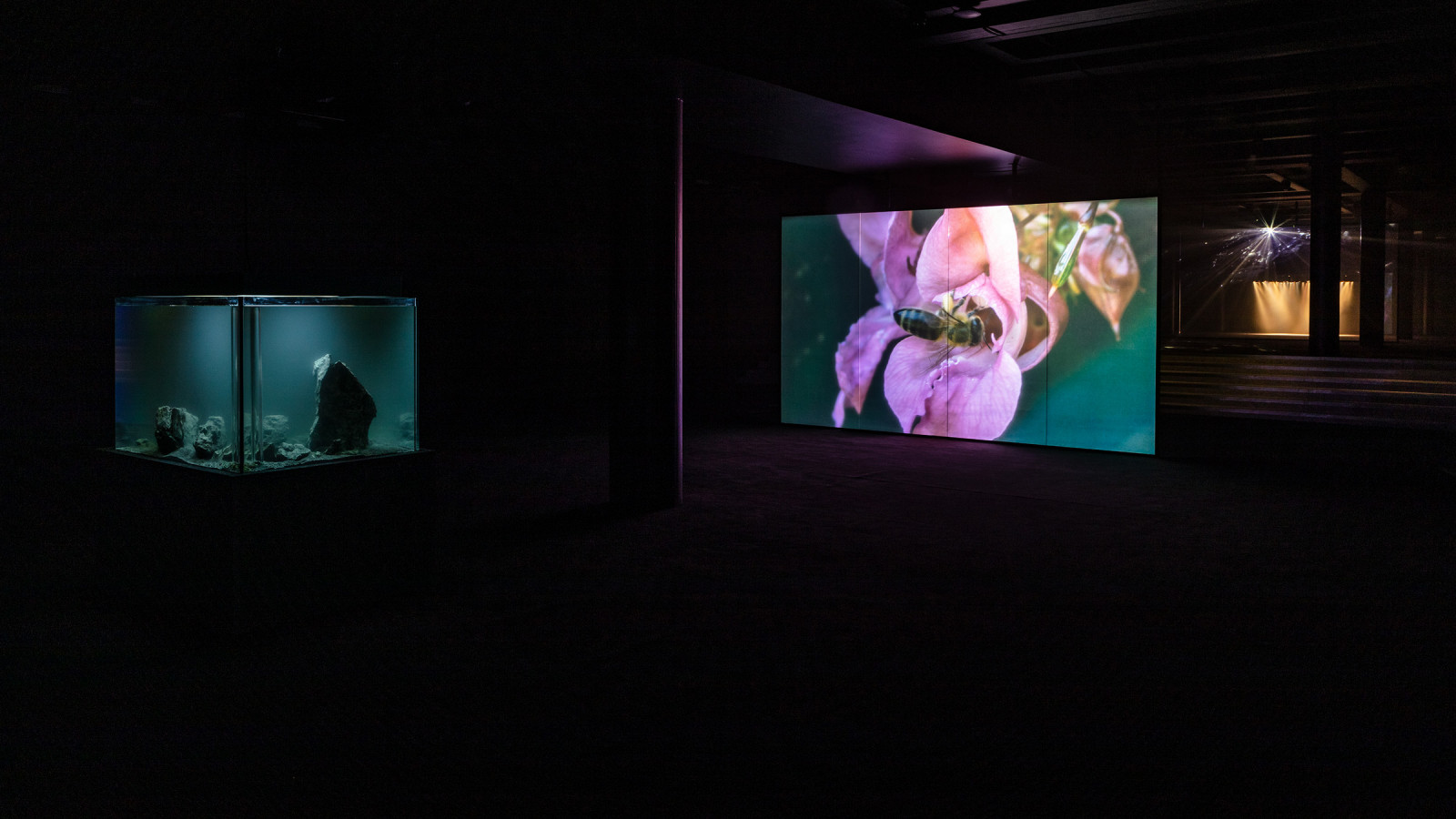 Værk af Pierre Huyghe