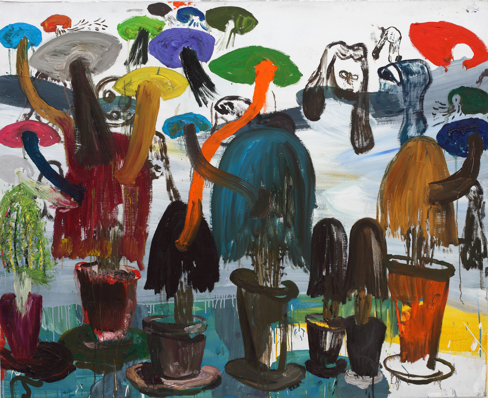 Tal R Relations to plant