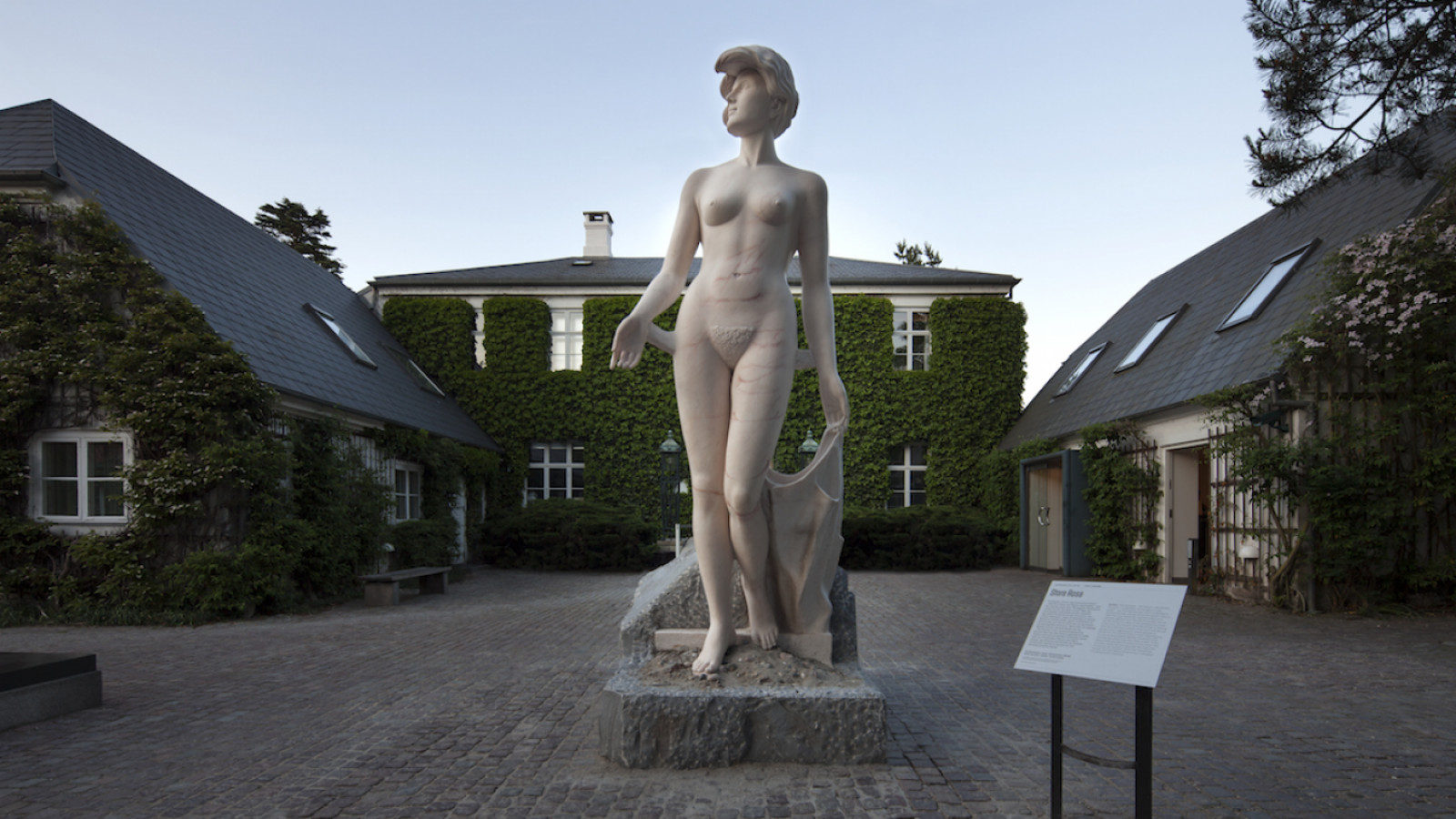 Store Rosa. Foto: Finn Brøndum