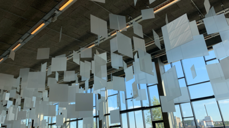 Thank You, Thank You, Thank You Fog