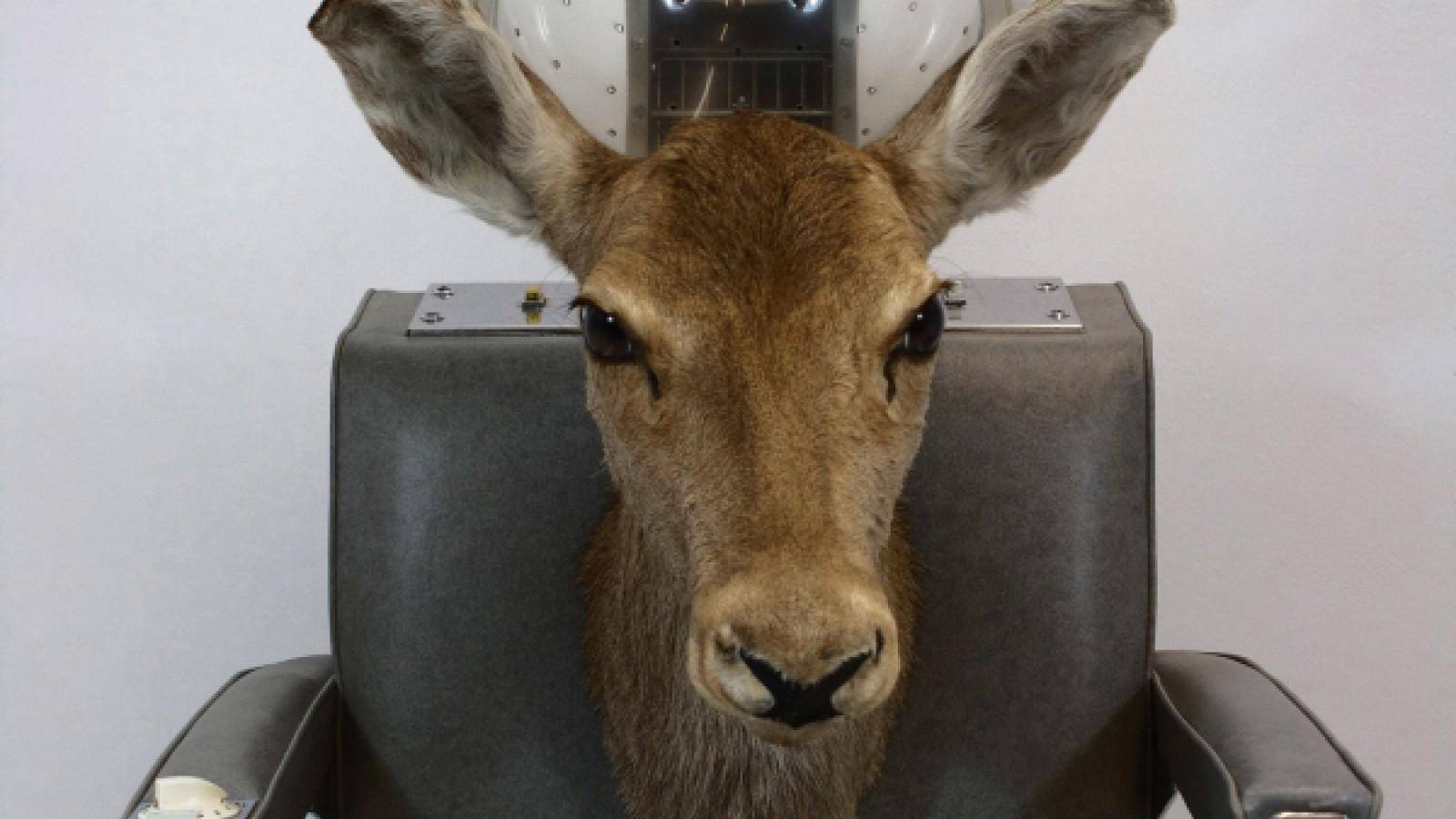 Værk af Nina Saunders