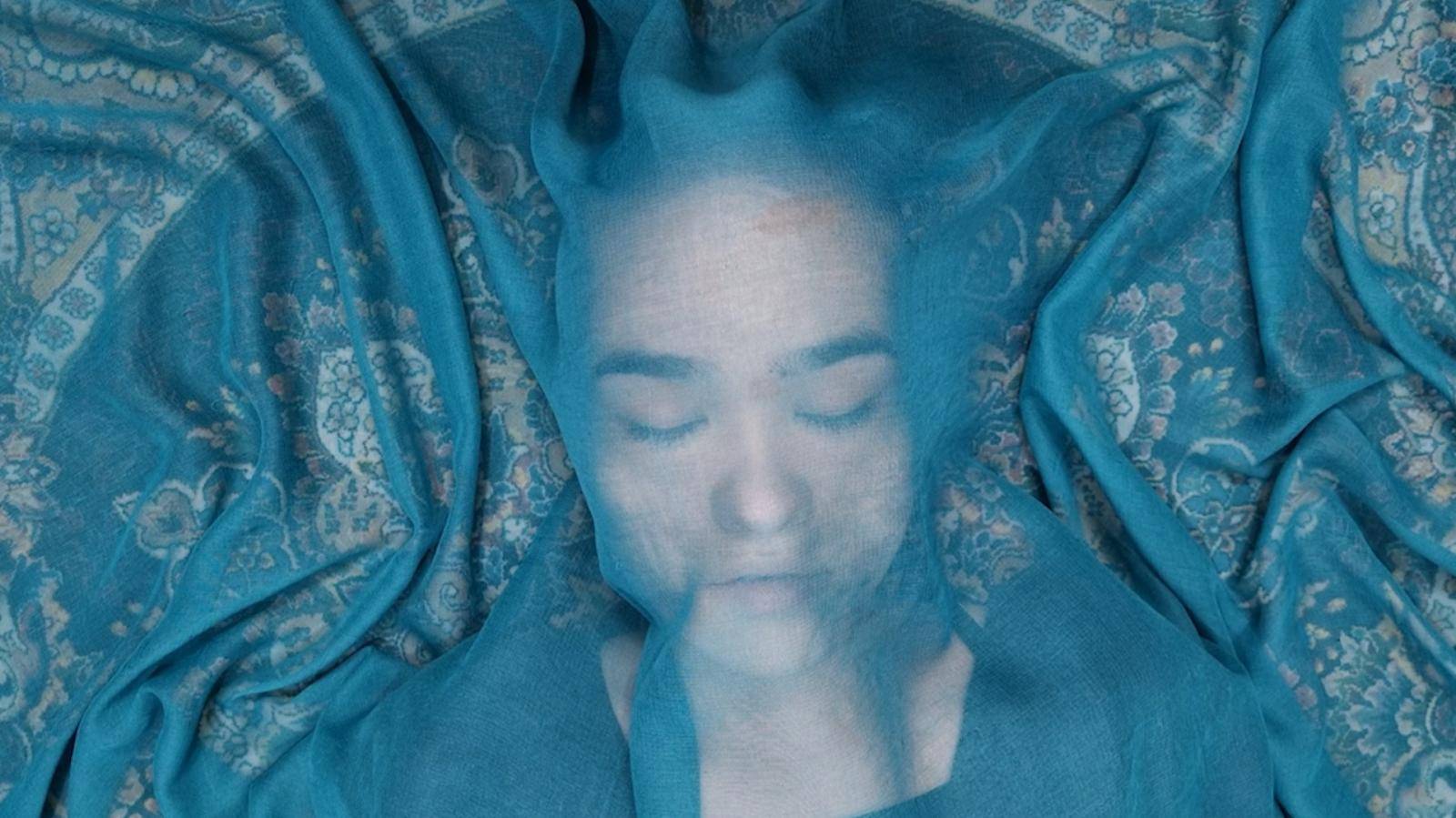 a-fox-under-a-pink-moon-main-stil