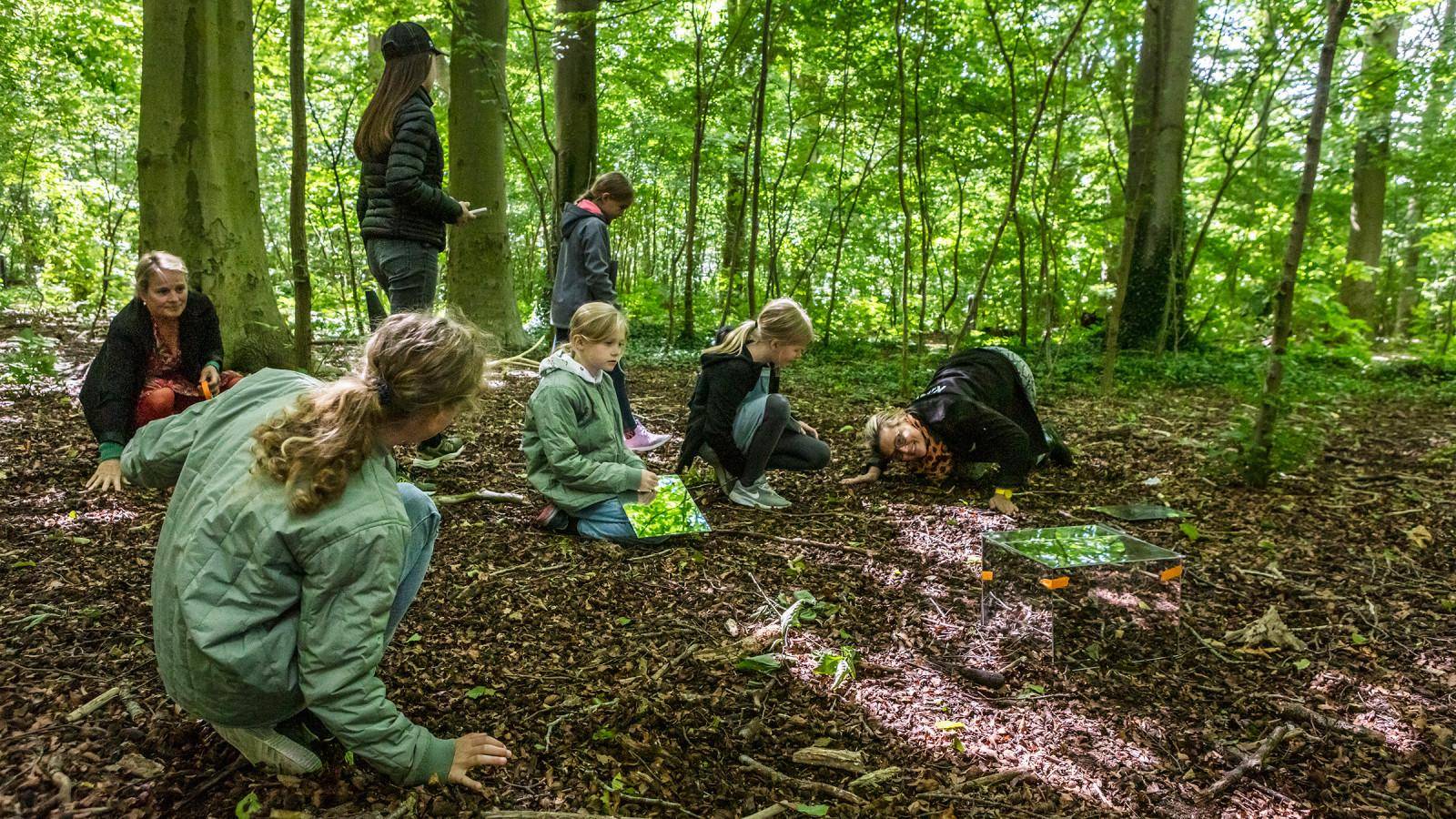 Inspirationsdag med kunsten i naturen